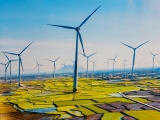 越南风电产业备受丹麦企业关注