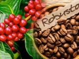 越南对韩咖啡出口额增长