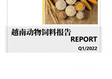 2022年第1 季度越南动物饲料报告