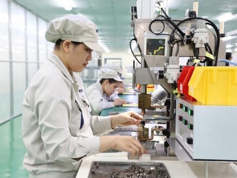 对外投资的越南企业数量猛增